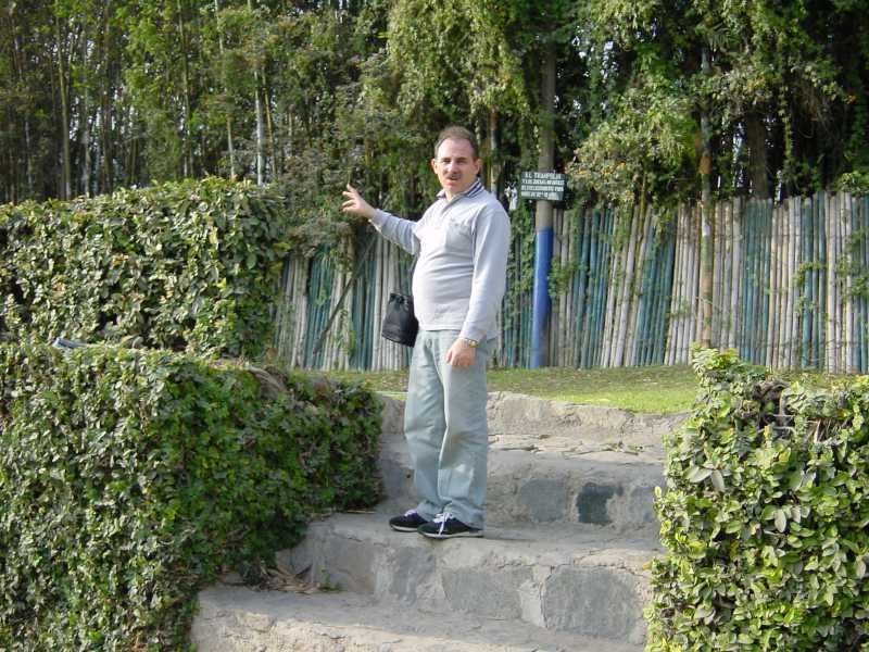 Click for original image